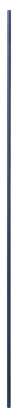 Bosch - Ekstra Uzun Kılavuz Çubuk 10*800 mm